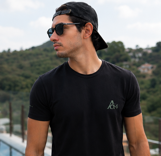 Camiseta 599 GTO